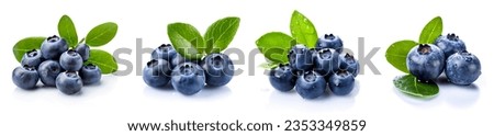 Blueberries collection set, isolated. Blueberry with leaves, closeup set. Collection of fresh blueberries isolated.