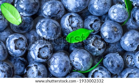 Blueberries floating in water with bubbles. Fresh blueberries background with copy space for your text. Vegan and vegetarian concept.Texture blueberry berries close up