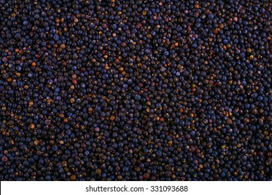 Blueberries Are Flowering Plants In The Genus Vaccinium, Sect. Cyanococcus. The Species Are Native Only To North America.