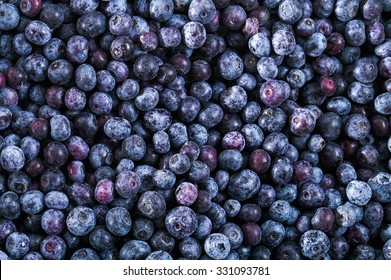 Blueberries Are Flowering Plants In The Genus Vaccinium, Sect. Cyanococcus. The Species Are Native Only To North America. 