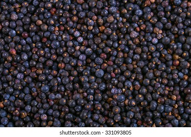 Blueberries Are Flowering Plants In The Genus Vaccinium, Sect. Cyanococcus. The Species Are Native Only To North America. 