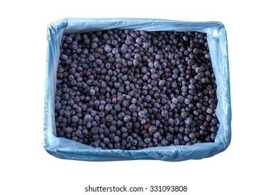 Blueberries Are Flowering Plants In The Genus Vaccinium, Sect. Cyanococcus. The Species Are Native Only To North America. 