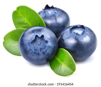 Blueberries Isolated