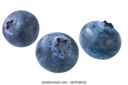 Blueberries Isolated