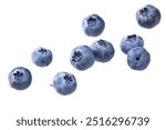 blueberries isolated on white background. clipping path