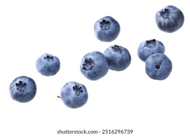 blueberries isolated on white background. clipping path