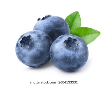 Blueberries isolated on white background. Clipping path.