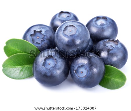 Blueberries isolated on white background 