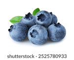 Blueberries with leaves isolated on white background 