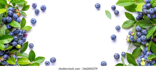 Blueberries and leaves isolated on white background