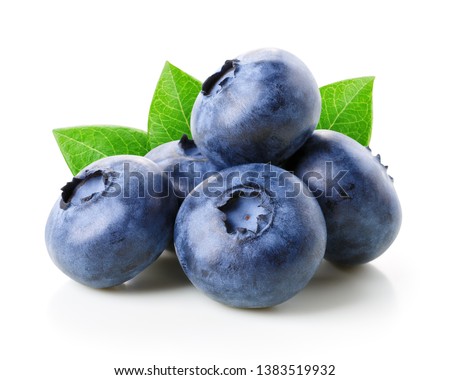 Blueberries with leaves isolated on white
