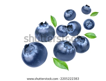 Blueberries with leaves  levitate isolated on a white background. Clipping path
