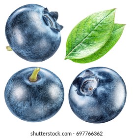 Blueberries and blueberries leaves. Macro shot. Clipping paths for each item.