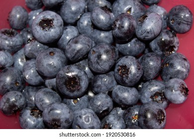 Blueberries in a pink bowl 