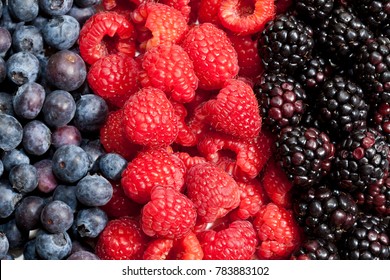 Blueberries, Raspberries And Blackberries In Line Together.