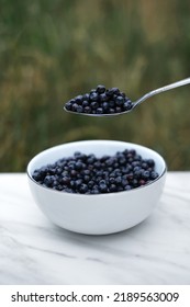 Blueberries In A White Plate Side View Close-up