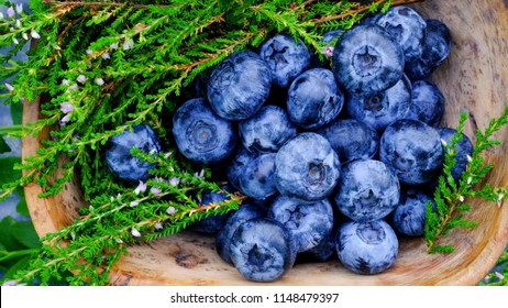 
Blueberry Antioxidants Containing Super Food From Lapland. Antioxidant Berries In A Traditional Curly Birch Wood Bowl