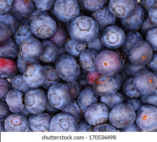 Blueberry background. Macro