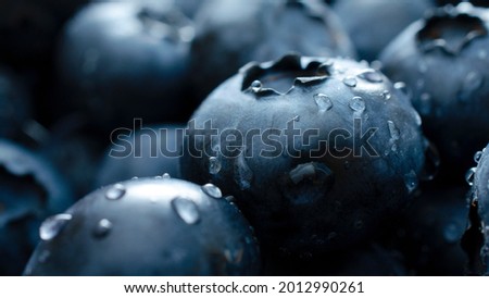 Blueberry berry background. Macro. Fresh blueberry background. Water drops on ripe blueberries. Background from freshly picked blueberries, close-up. Blue berries of blueberry close-up, macro.