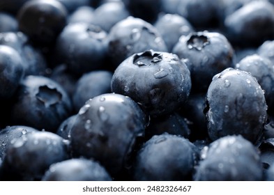 Blueberry berry background with water drops. Macro. Fresh blueberry background. Drops of water on ripe blueberries. Background of freshly picked blueberries, close-up. Blue blueberries close-up. - Powered by Shutterstock