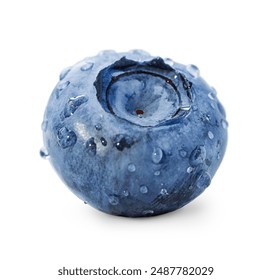 blueberry berry with water drops, isolated on a white background	