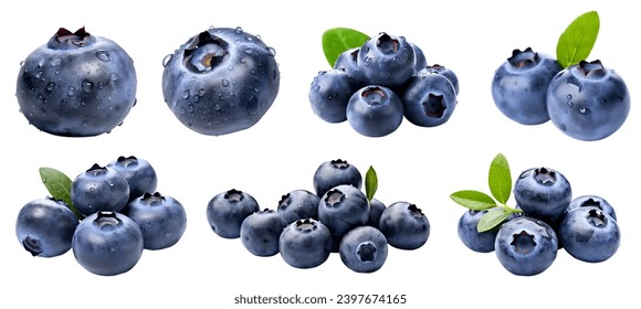 Blueberry Blueberries Bilberry Bilberries, many angles and view side top front sliced halved bunch cut isolated on white background cutout file. Mockup template for artwork graphic design