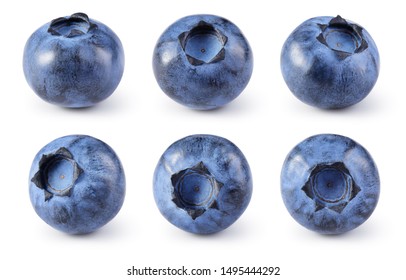 Blueberry. Blueberries set isolated on white background. Bilberry. Clipping path.