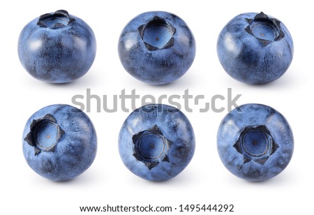 Blueberry. Blueberries set isolated on white background. Bilberry. Clipping path.
