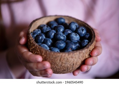 Blueberry in a cocos bowl in childs hands on rose background