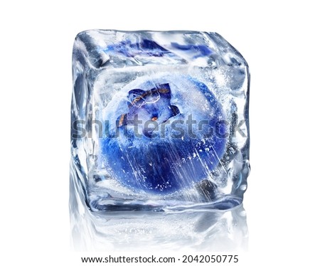 Blueberry in ice cube isolated on white background with clipping path.