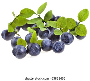 Blueberry Isolated
