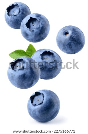 Blueberry isolated. Blueberries with leaf flying on white background. Perfect retouched blueberries falling. Full depth of field.