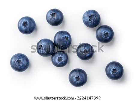 Blueberry isolated. Blueberries top view. Blueberry flat lay on white background with clipping path.