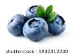 Blueberry isolated. Blueberry with leaves on white. Bilberry on white background. Full depth of field.