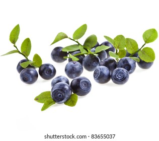 Blueberry Isolated  On White