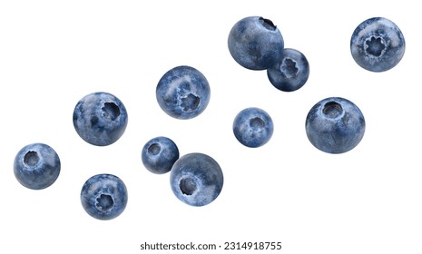 Blueberry isolated on white background. Organic blueberry isolated on white background. Taste blueberry with leaf