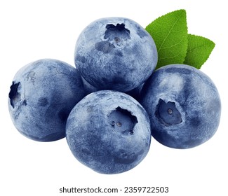 Blueberry isolated on white background, clipping path, full depth of field