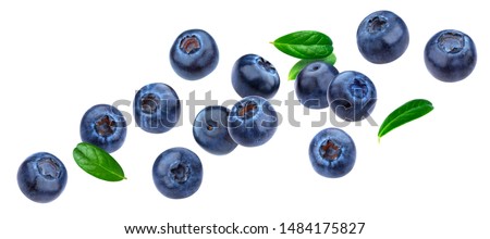 Blueberry isolated on white background with clipping path, berry collection, fresh falling blueberries with leaves