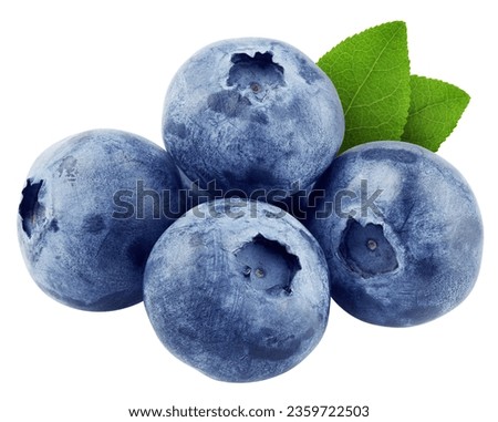 Blueberry isolated on white background, clipping path, full depth of field