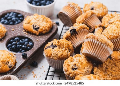 Blueberry muffins and blueberry berries