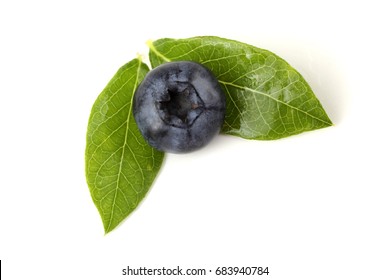 Blueberry on leaves