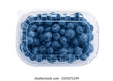 blueberry in a plastic box . Packaging template mockup .