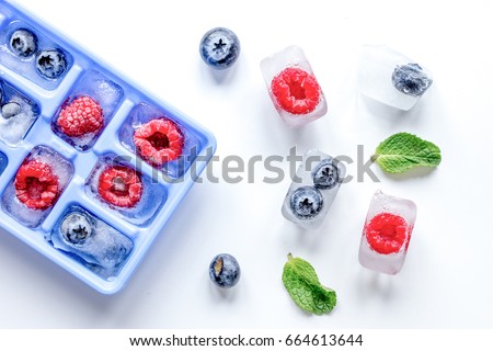 Similar – Image, Stock Photo Leaves and berries frozen in ice winter / spring