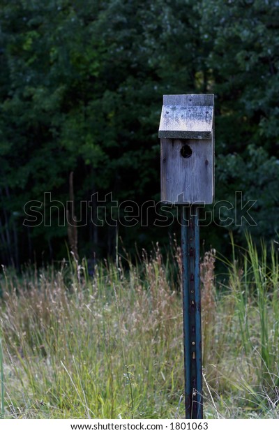 Bluebird House On Post Middle Grassy Stock Photo Edit Now 1801063