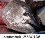 Bluefin tuna head in a food market. Thunnus thynnus