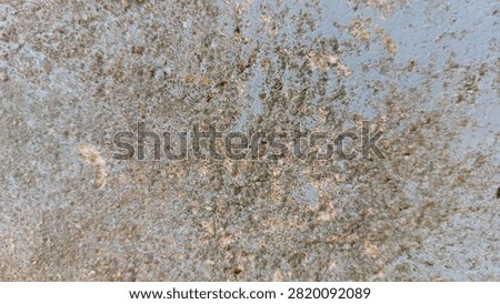 Blue-gray cement wall texture with small grayish-brown holes on the surface.
