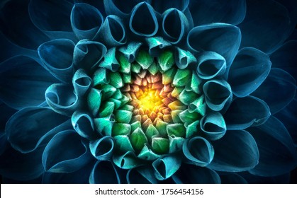 Blue-green chrysanthemum flower close-up. Macro shot. Summer and spring multi-color floral background. - Shutterstock ID 1756454156