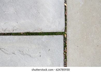 Bluestone Three Way Joint In Garden Patio.  Close Up, Detail, Texture