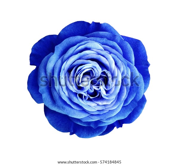 Featured image of post Sfondi Viola Rosa Blu : Sfondi sfondo semplice cielo viola blu cerchio rosa magenta.