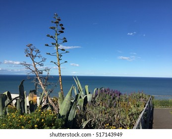 Bluff Hill Walking Track In Napier Port 